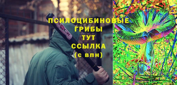 PSILOCYBIN Богородицк